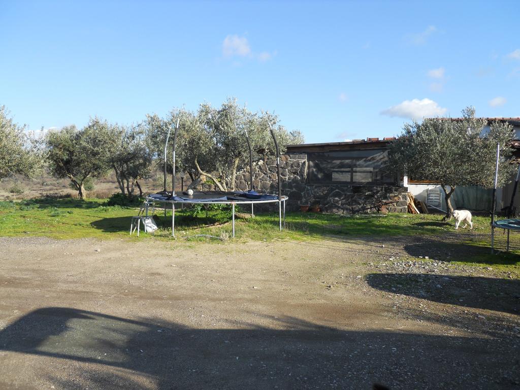 Agriturismo Su Nuratolu Sagama Exterior foto